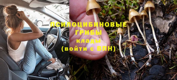 гашишное масло Инсар