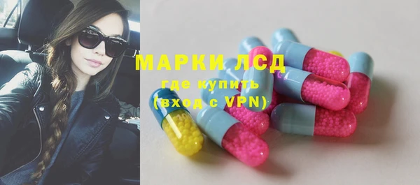 ГАЛЛЮЦИНОГЕННЫЕ ГРИБЫ Абаза