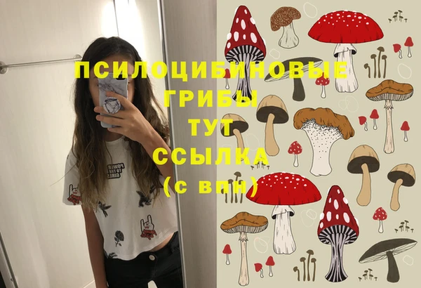 трава Абинск
