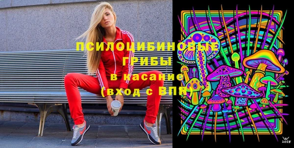 эйфоретик Алексин