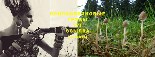 ГАЛЛЮЦИНОГЕННЫЕ ГРИБЫ Абаза