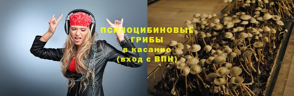 трава Абинск