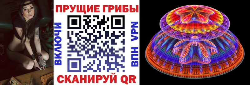 Галлюциногенные грибы мицелий  продажа наркотиков  Югорск 